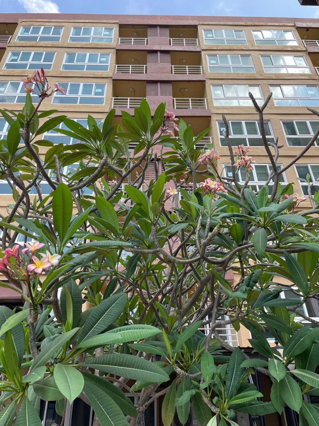 H2DO Hotel Ban Khlong Sanam Phli Buitenkant foto